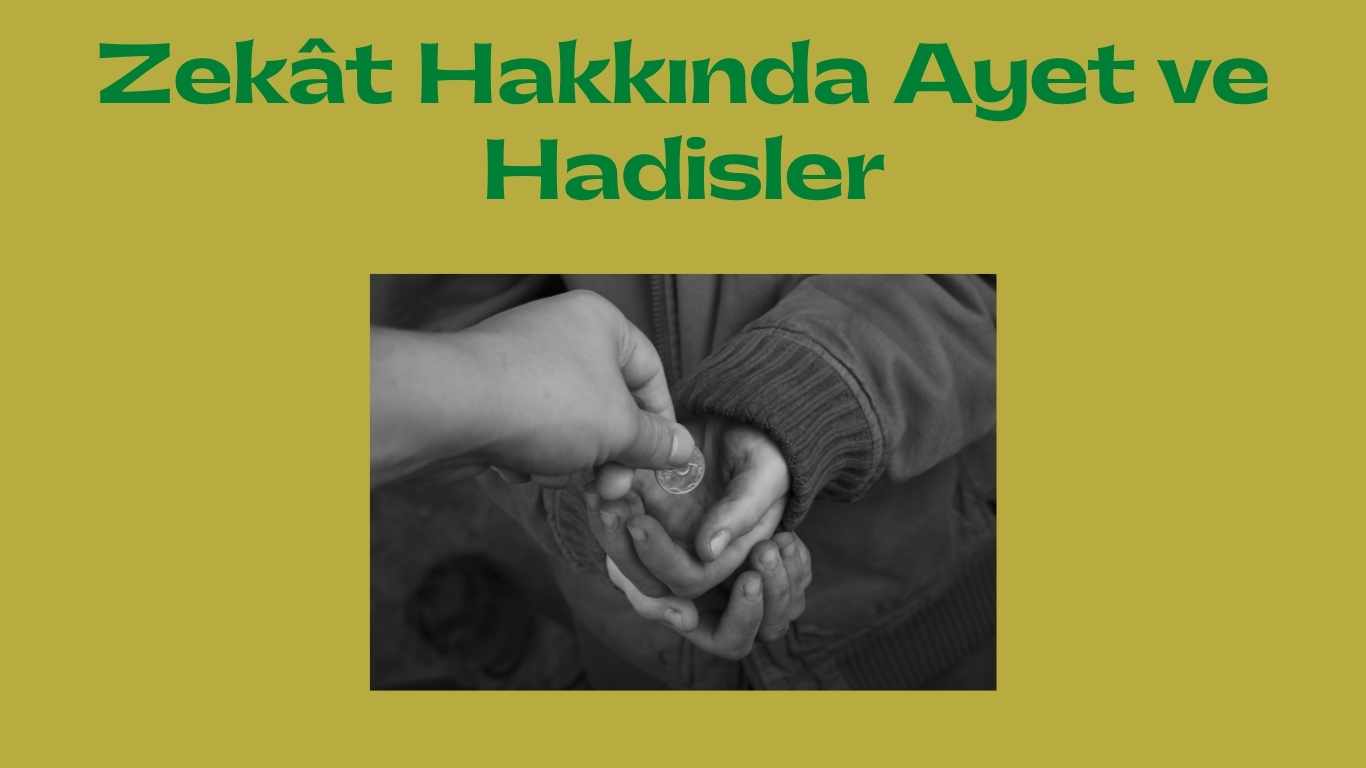 Zekât Hakkında Ayet ve Hadisler | TurkArama Motoru | Sağlık ve Günlük Yaşam için Pratik Bilgiler