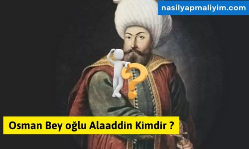 Osman Bey Oğlu Alaaddin Kimdir? İlk Şehzade Hakkında Tüm Detaylar | TurkArama Motoru | Sağlık ve Günlük Yaşam için Pratik Bilgiler