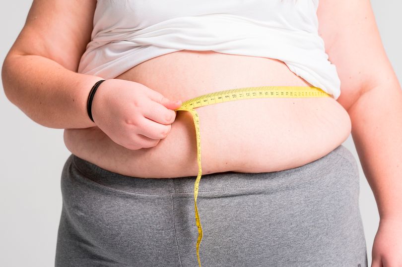 Kışın neden kilo alırız | TurkArama Motoru | Sağlık ve Günlük Yaşam için Pratik Bilgiler