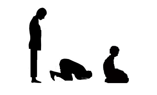 Tilavet Secdesi neden ve nasıl yapılır | TurkArama Motoru | Sağlık ve Günlük Yaşam için Pratik Bilgiler